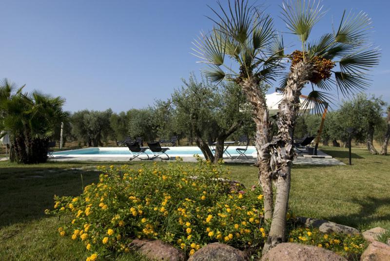 Guest house Rosso Di Sera